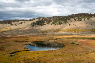 Yellowstone Ulusal Parkı, Norris Geyser Havzası, Wyoming, Amerika Birleşik Devletleri