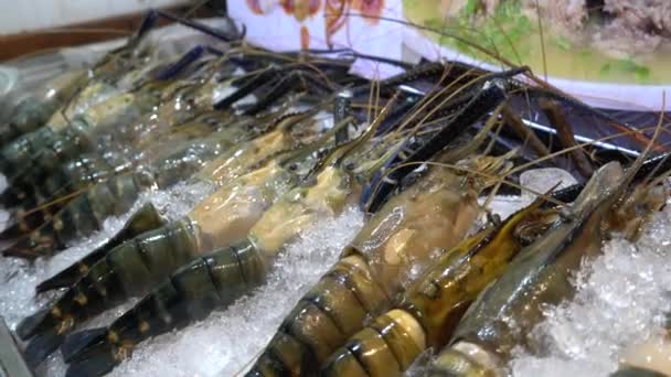 夜市海产新鲜龙虾冰鲜 — 图库视频影像