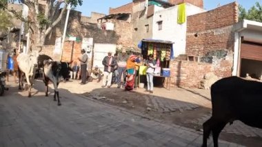 Living in Poverty in Agra, India. Walking the streets of poor living area.