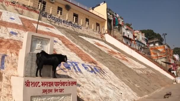 Walking Ganges River Varanasi India — Vídeos de Stock