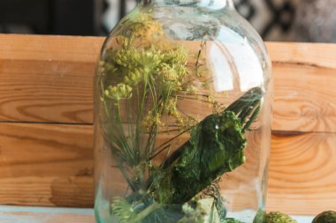 Dill ve salatalık cam kavanozda. Şarap için tuzlu sebze.