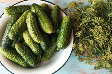 Fresh dill bunch and cucumbers on the table clipart