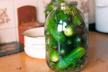 Cam kavanozdaki taze salatalıklar. Kış için sebze tuzlama