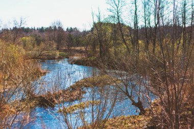 Nehir ve ağaçlarla dolu güzel bir bahar manzarası. Ovsyanka nehri, Vitebsk bölgesi, Belarus