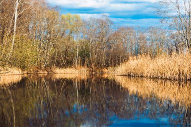 Nehir ve ormanla güzel bir bahar manzarası. Vitebsk bölgesindeki Ovsyanka Nehri, Belarus