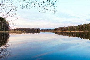 Tiosto Gölü 'nün Belarus' taki manzarası. Göl ve önleri olan güzel bir manzara. Beyaz doğa.