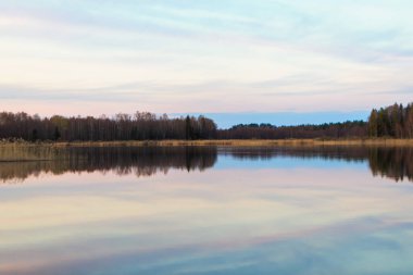 Tiosto Gölü 'nün Belarus' taki manzarası. Göl ve önleri olan güzel bir manzara. Beyaz doğa.