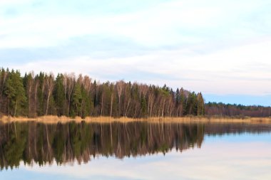 Tiosto Gölü 'nün Belarus' taki manzarası. Göl ve önleri olan güzel bir manzara. Beyaz doğa.