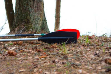 Ormandaki nehir kıyısında kürekler