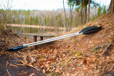 Ormandaki nehir kıyısında kürekler
