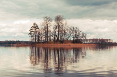 Nehir ve ormanla güzel bir bahar manzarası. Vitebsk bölgesindeki Tiesto Gölü, Belarus