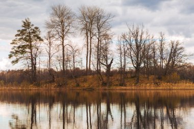 Nehir ve ormanla güzel bir bahar manzarası. Vitebsk bölgesindeki Tiesto Gölü, Belarus