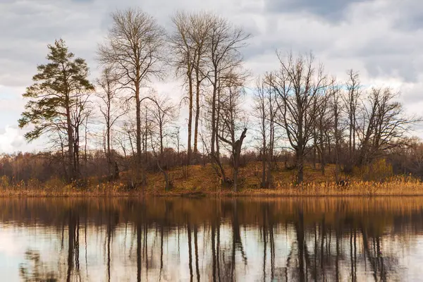 Nehir ve ormanla güzel bir bahar manzarası. Vitebsk bölgesindeki Tiesto Gölü, Belarus