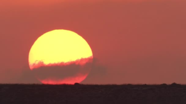 Gyorsított Felvétel Egy Nagy Arany Napkorongról Ahogy Felemelkedik Narancssárga Égen — Stock videók