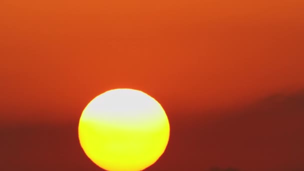Ταχεία Λήψη Του Μεγάλου Ήλιου Που Ανεβαίνει Στον Πορτοκαλί Ουρανό — Αρχείο Βίντεο