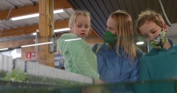 Mother Children Looking Plants Being Grown Underwater Aquarium Plants Store — Stock Video