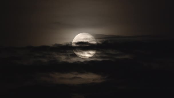Великий Сірий Місяць Чорному Нічному Небі Позаду Повільно Плаваючі Хмари — стокове відео