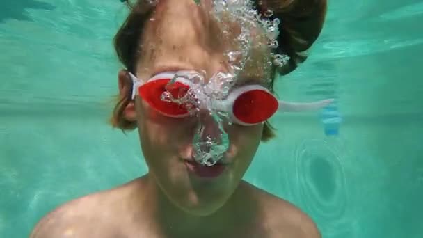 연못의 속에서 렌즈가 안경을 웃으면서 입으로 방울을 — 비디오