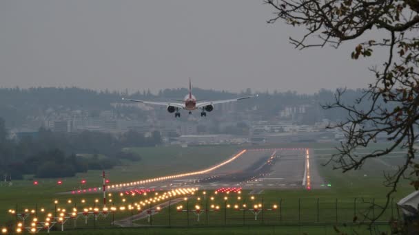夕方の空港に着陸する旅客機フレームの右側にある木の枝 — ストック動画