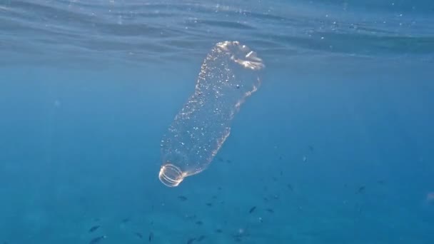 Botella Plástico Pescado Inyección Bajo Agua Dañar Medio Ambiente — Vídeo de stock