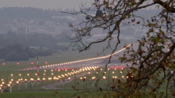 Jet Está Aterrizando Aeropuerto Por Noche Través Las Ramas Árbol — Vídeos de Stock