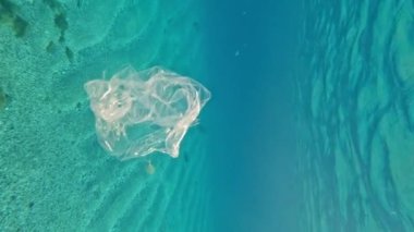 Dikey video - plastik torba taşların ve küçük balıkların arasında suyun altında yüzüyor, yüzeye yükseliyor, çevreye zarar veriyor