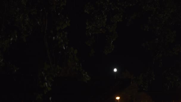 Портативный Снимок Испорченного Мигающего Света Среди Листвы Деревьев Ночью — стоковое видео