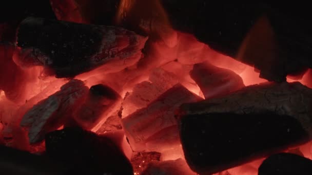 Макро Выстрел Уголь Горит Замедленной Съемке Красивым Пламенем — стоковое видео