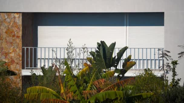 Bereketli Yeşillikler Palmiye Ağaçları Yaz Havasıyla Çevrili Kapalı Bir Balkon — Stok video