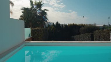 A tranquil view of a villa pool with calm blue water, surrounded by lush greenery and palm trees, with a seagull flying in the sky