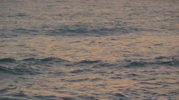 夕阳西下的黄昏 平静而柔和的大海波涛 — 图库视频影像
