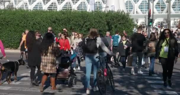 Cia 스페인 2023 발렌시아의 북적거리는 얼룩말 줄무늬 보도를 건너는 사람들 — 비디오