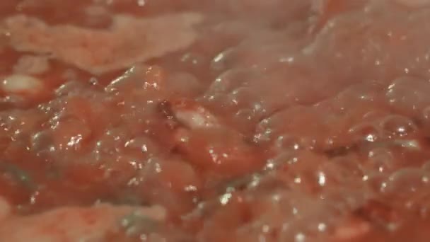 Valencia Spanya Daki Fallas Kutlamaları Sırasında Yavaş Çekimde Baharatlı Tavuk — Stok video