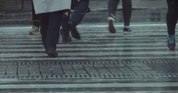 Die Füße Von Menschen Die Auf Einem Fußgängerüberweg Die Straße — Stockvideo