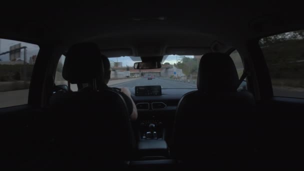 父と息子は高速道路沿いの車に乗って橋の下を通っている — ストック動画