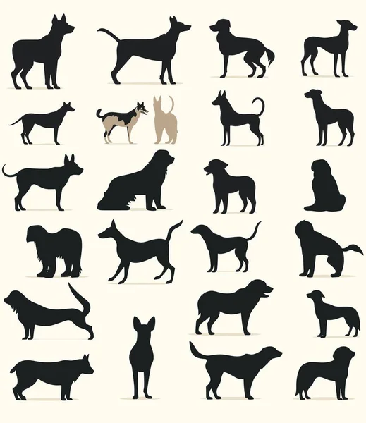 Szett Sziluettek Különböző Fajtájú Kutyák Vektorillusztráció Stock Illusztrációk
