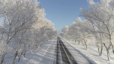Sibirya Hakassia bölgesinde kış manzarası. Orman kar ve buzla kaplı, ağaçlar kırağı süslemiş. Buzlu ağaçların arasından esen karla kaplı yol büyülü bir atmosfer yaratıyor..