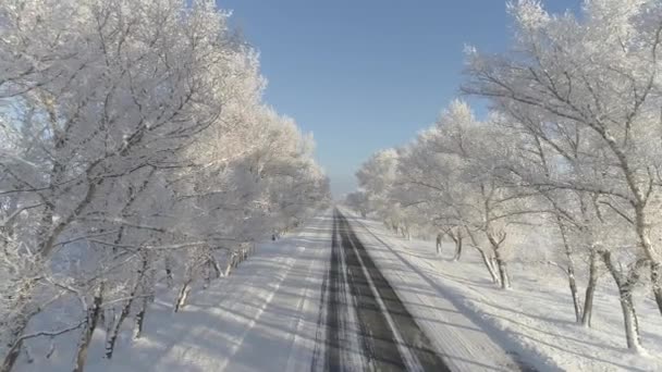 Zimowy Krajobraz Syberii Khakassia Regionu Las Pokryty Śniegiem Lodem Drzewa — Wideo stockowe