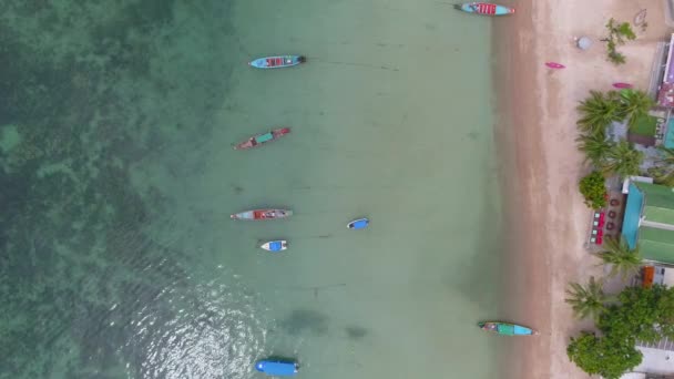코타오의 아름다운 생동감 넘치는 낙원의 아름다움을 만나보세요 청록색 바다로 뛰어들어 — 비디오