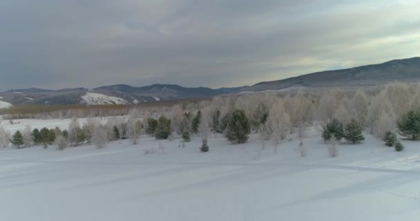 Прекрасний Зимовий Пейзаж Хакасії Росія Снігові Поля Ліси Гори Відкривають — стокове відео