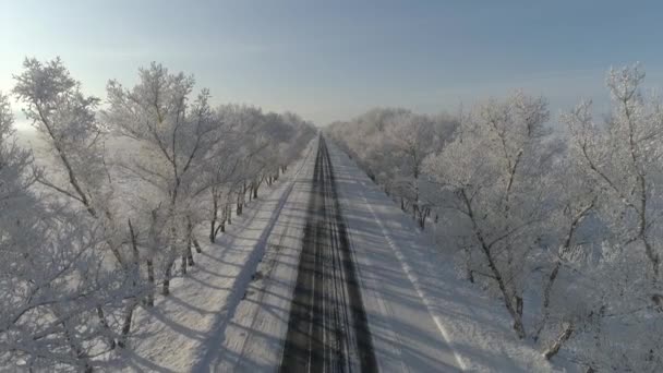 Auto Invernale Nella Foresta Innevata Khakassia Siberia Strada Innevata Alberi — Video Stock