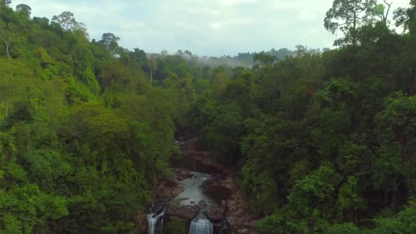 Vol Matinal Capture Beauté Paysage Brumeux Jungle Rivière Klong Chao — Video