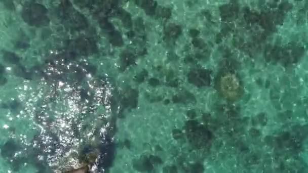 코타오의 아름다움을 경험해 보세요 크리스탈 화려한 그리고 바다는 배경을 만듭니다 — 비디오