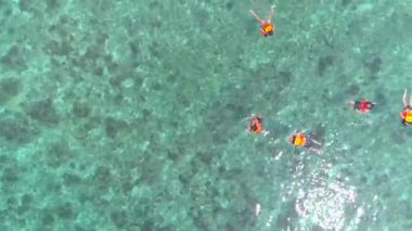 Coral Bay, Koh Tao, Tayland 'da bir maskeyle şnorkel ve yüzmek. Canlı mercan gölünün, muhteşem Özgürlük Sahili 'nin ve çarpıcı deniz manzarasının tadını çıkarın. Tayland plajlarının güzelliğini tecrübe et..