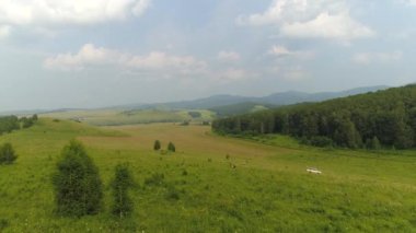 Rusya, Hakassia 'nın çarpıcı hava manzarası, yaz manzarası. Mavi gökyüzü, yeşil bozkır ve sık tayga ormanı nefes kesici bir manzara yaratır..