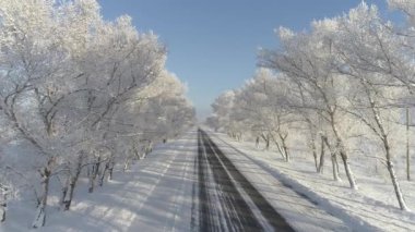 Sibirya 'daki büyülü kış sahnesinde, buzla kaplı ağaçlar ve karla kaplı bir yol buzlu ormanın içinden geçiyor..