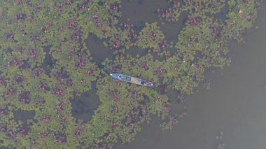 Udon Thani, Tayland 'daki Kızıl Lotus Gölü' nün dingin güzelliğini görün. Canlı nilüfer çiçekleri ve sakin sularla çevrili huzurlu bir tekne yolculuğunun tadını çıkar..