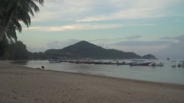 Plajda sakin bir sabah, renkli tekneler, pembe bulutlar, sisli sahil şeridi. Koh Tao atmosferinin tadını çıkarın. Gemiler renkli günbatımına karşı yelken açıyor..