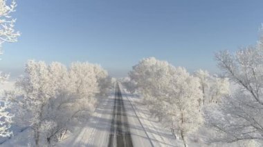Hakassia, Sibirya 'da güzel bir kış manzarası. Hoarfrost, karla kaplı yol boyunca ağaçları süslüyor. Arabalar zarifçe geçerken..