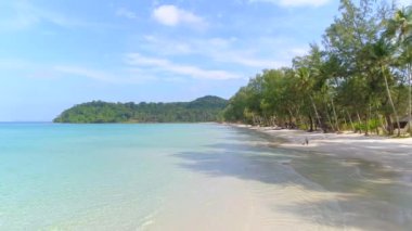 Palmiye ağaçları, turkuaz suları ve beyaz kumları olan tropik cennet plajı. Yaz tatili kaçamağı için mükemmel..